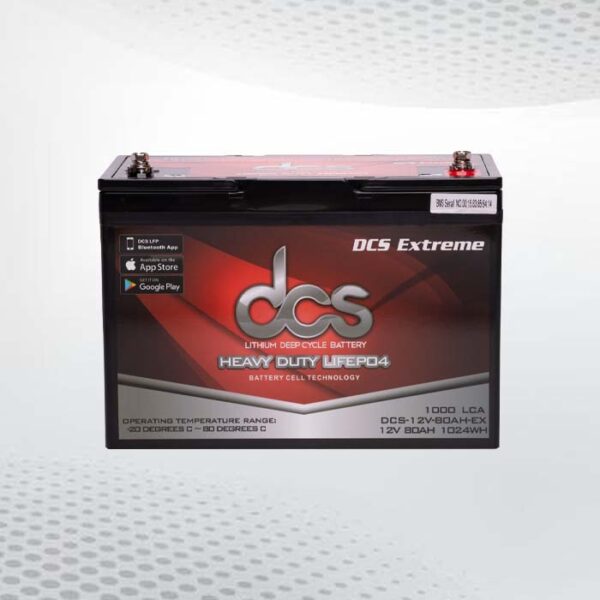 Lifepo4 battery
